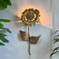 A metallic gold sunflower wall sconce by P Mas Rossi, vintage light fixture mounted on a white wall, casting a warm glow, with green houseplant leaves visible on the left and right sides. 