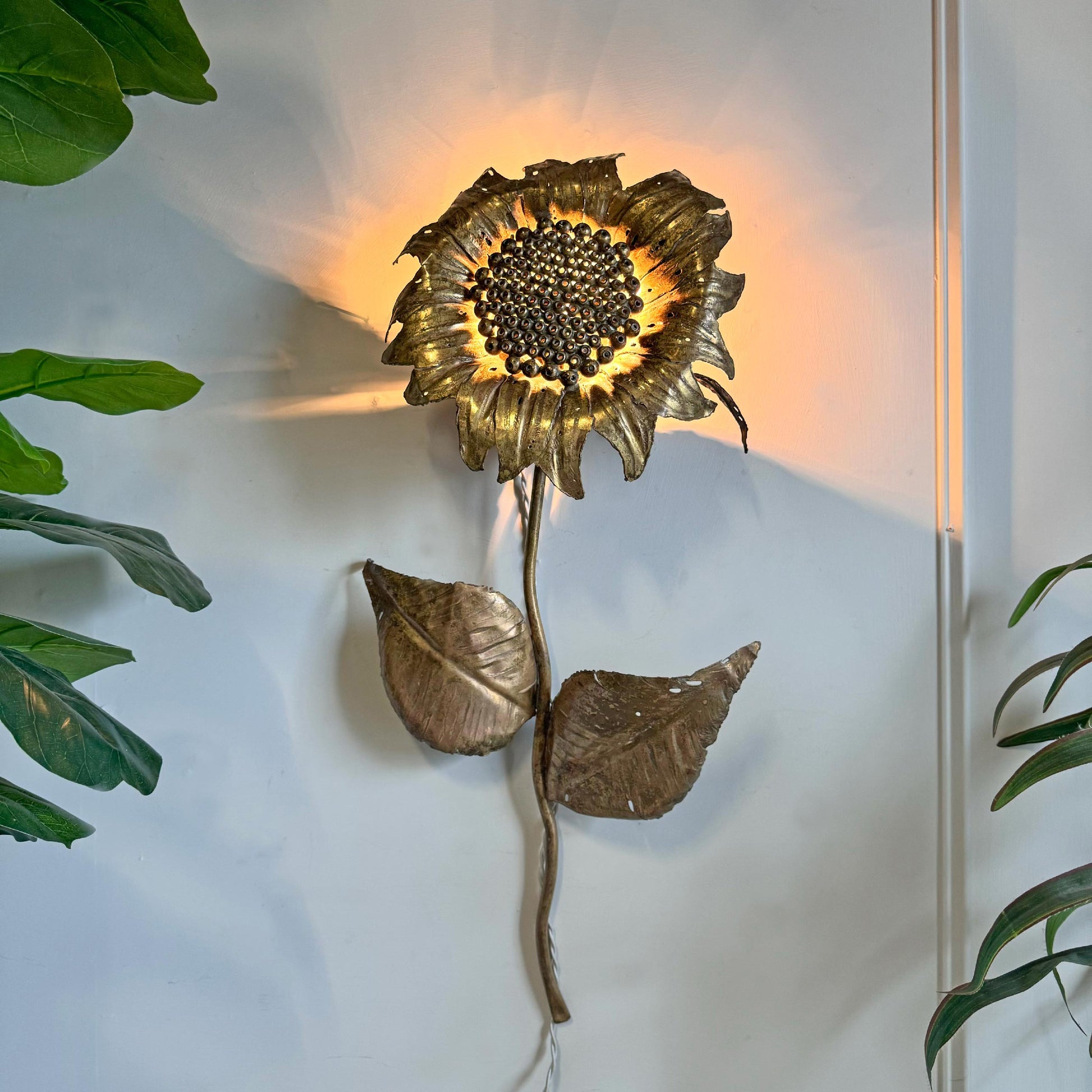 A metallic gold sunflower wall sconce by P Mas Rossi, vintage light fixture mounted on a white wall, casting a warm glow, with green houseplant leaves visible on the left and right sides. 