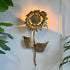 A metallic gold sunflower wall sconce by P Mas Rossi, vintage light fixture mounted on a white wall, casting a warm glow, with green houseplant leaves visible on the left and right sides. 