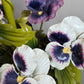 Salvadori Pansy Flowers and Leaves Table Lamp Italy 1960's