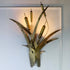 Mid-century modern wall sconce featuring a stylized cattail leaf design in brushed brass and bronze metal, with three lit cylindrical bulbs mounted on a white wall.