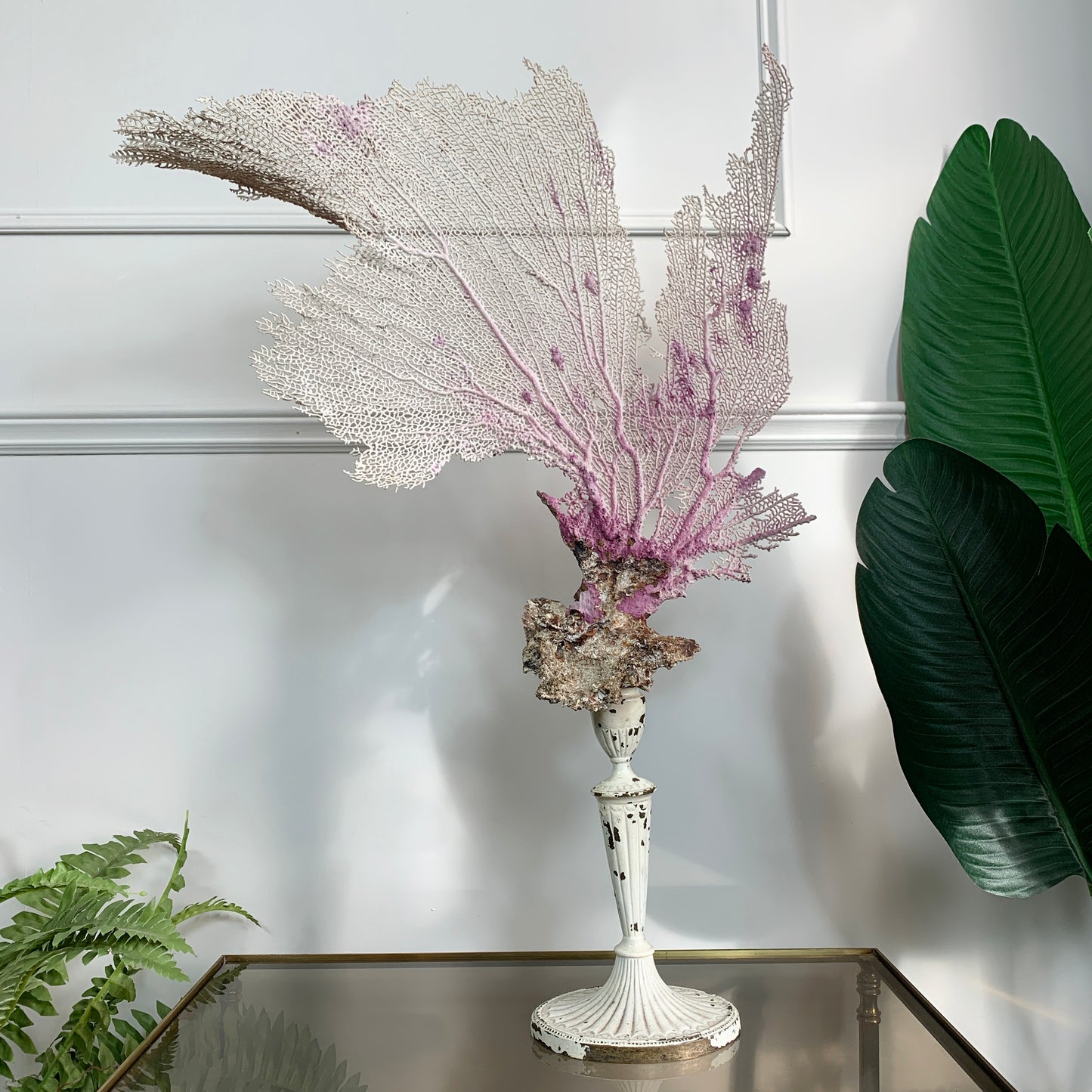 A decorative antique coral piece with large fan-shaped white and lavender-pink branches mounted on a white pedestal stand, displayed indoors on a mirrored table against a white paneled wall with green plants at the sides.