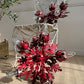 Pair of Rare Banci Firenze Red Acanthus Leaf Flush Ceiling Lights Circa 1950's