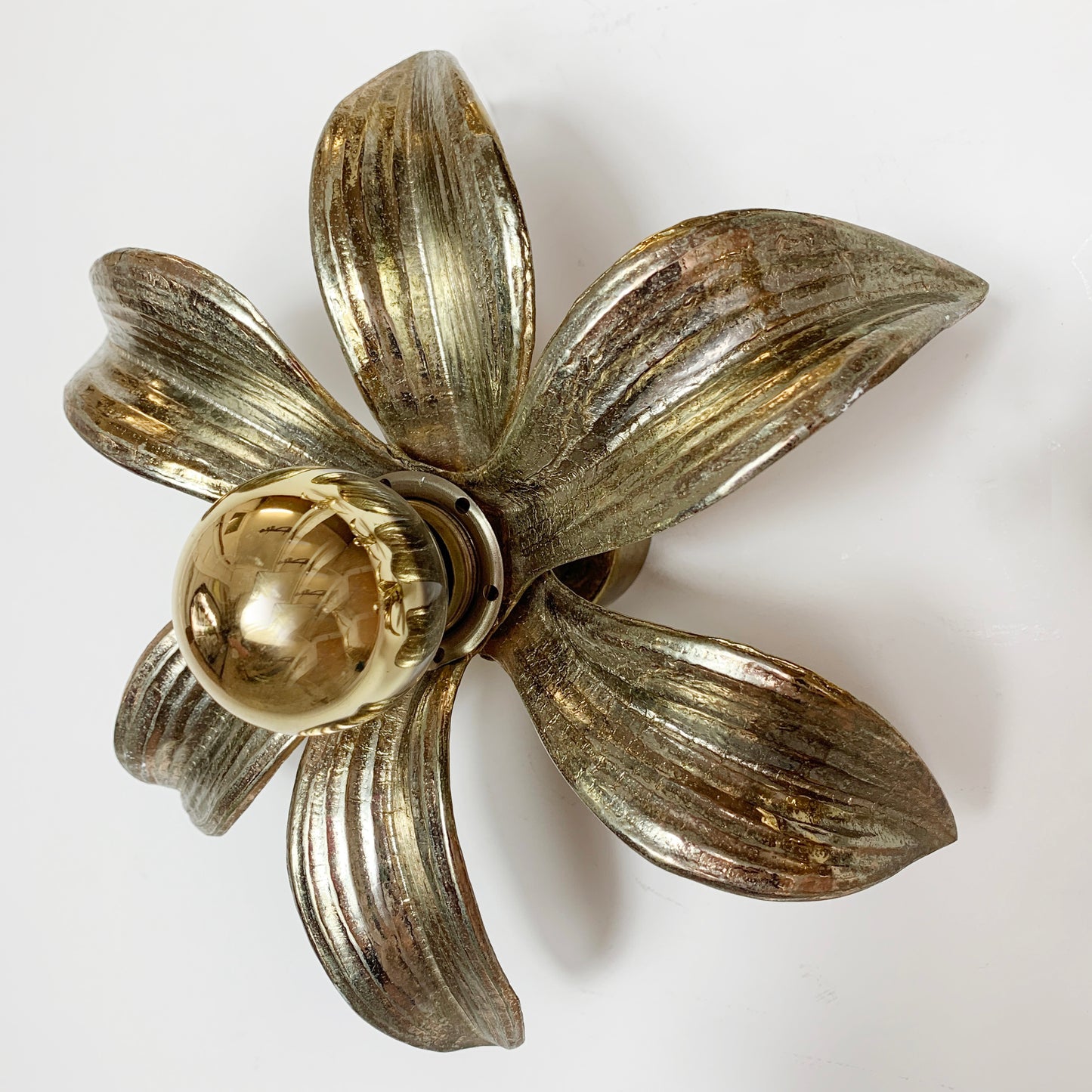 A Willy Daro flower-shaped wall light with five textured petals and a pbulb in center, shown on a plain white background.
