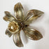 A Willy Daro flower-shaped wall light with five textured petals and a pbulb in center, shown on a plain white background.